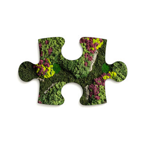 Puzzle Moosbild Soraya
