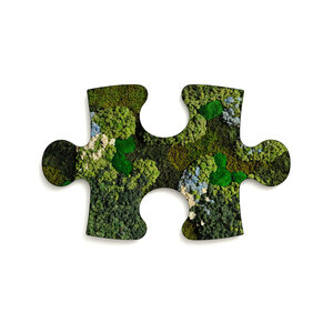 Puzzle Moosbild Polar