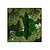 Moswens Quadratisches Moosbild Mentha