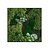 Moswens Quadratisches Moosbild Skye