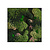 Moswens Quadratisches Moosbild Flow