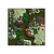 Moswens Quadratisches Moosbild Colius