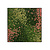 Moswens Quadratisches Moosbild Arya