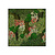 Moswens Quadratisches Moosbild Vienna
