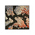 Moswens Quadratisches Moosbild Lavi
