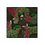 Moswens Quadratisches Moosbild Ruby