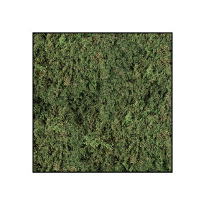 Quadratisches Moosbild ECO Forest