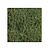 Moswens Quadratisches Moosbild ECO Forest