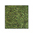 Moswens Quadratisches Moosbild  ECO Dimidium