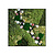 Moswens Quadratisches Moosbild Flora im Blumen-Stil