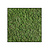 Moswens Quadratisches Moosbild Dimidium