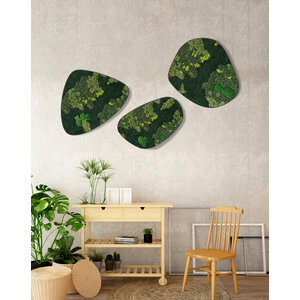 Moosdots-Set Moosbild Oletta