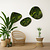 Moswens Moosdots-Set Moosbild Jellina