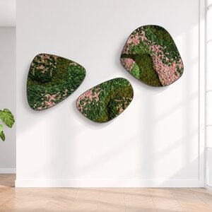 Moosdots-Set Moosbild Blush