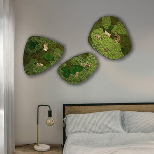 Moosdots-Set Moosbild Corky