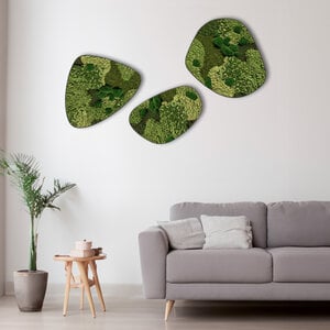 Moosdots-Set Moosbild Freya