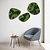 Moswens Moosdots-Set Moosbild Cyrus
