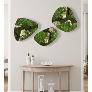 Moosdots-Set Moosbild Lovina