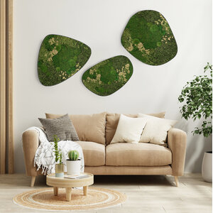 Moosdots-Set Moosbild Senex