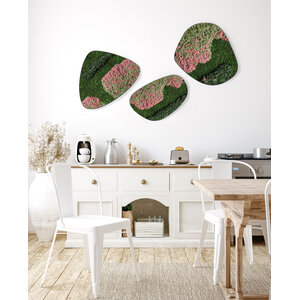Moosdots-Set Moosbild Caramello