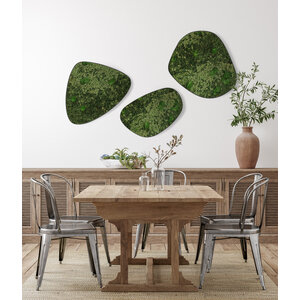 Moosdots-Set Moosbild Avina