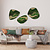 Moswens Moosdots-Set Moosbild Fluctus