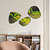 Moswens Moosdots-Set Moosbild Colvaya