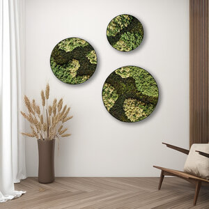 Rundes moosbild Set Vitalis