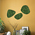 Moswens Moosdots-Set Moosbild Forest