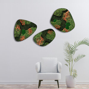Moosdots-Set Moosbild Terra