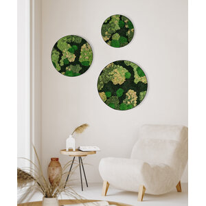 Rundes moosbild Set Ziva