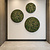 Moswens Rundes Moosbild Set ECO-moos Vetus