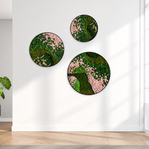 Rundes moosbild Set Blush