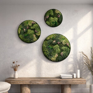 Rundes moosbild Set Flow