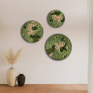 Rundes moosbild Set Rosaine