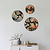 Moswens Rundes Moosbild Set  Lavi