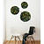 Moswens Rundes Moosbild set Java im Dschungel-Stil