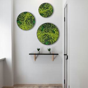 Rundes Moosbild Set Varius