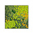 Moswens Quadratisches Moosbild Sundara