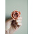 Rose alte Rose vorbereitet
