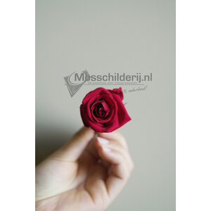 Rosenrot vorbereitet