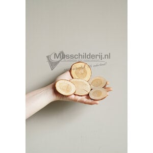Holzscheiben