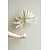 Getrocknete Sun Spear