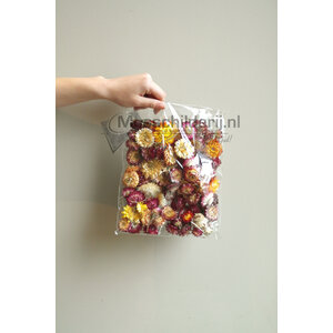 Getrocknete Helichrysum Blumen