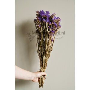 Trockenblumen lila