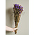 Trockenblumen lila