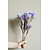 Trockenblumen Flieder