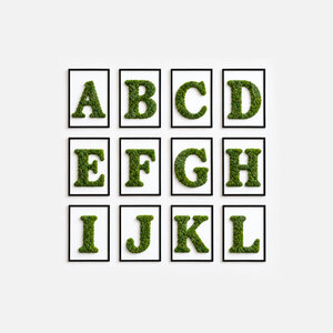 Moosporträt Buchstabe