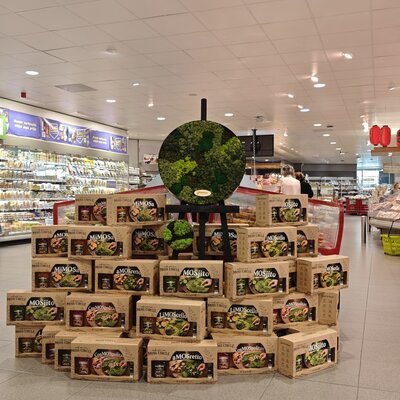 Hinter den Kulissen der Moos-Geschenkbox: von der Idee zum neuen Produkt
