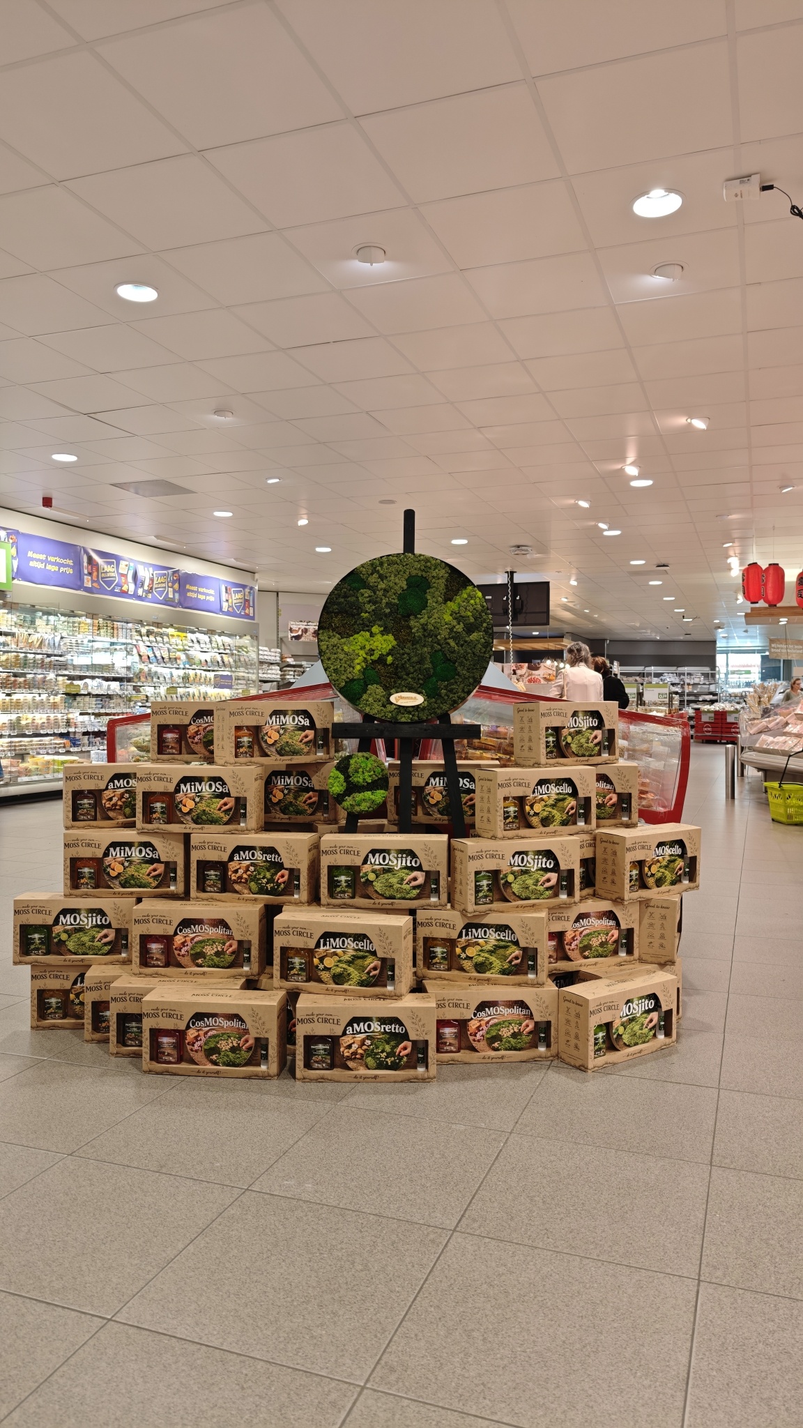 Hinter den Kulissen der Moos-Geschenkbox: von der Idee zum neuen Produkt